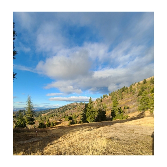 Meet your Posher, Diana - Picture 4 of 8